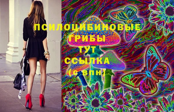 тгк Надым