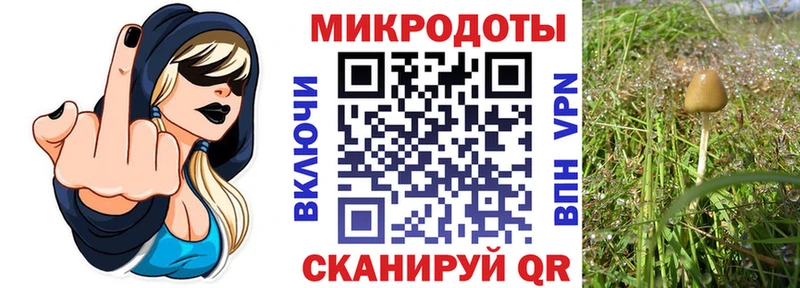Псилоцибиновые грибы мухоморы  MEGA ссылки  Усолье-Сибирское  купить закладку 