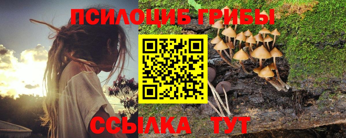 Псилоцибиновые грибы MAGIC MUSHROOMS  Вход с VPN  Усолье-Сибирское 