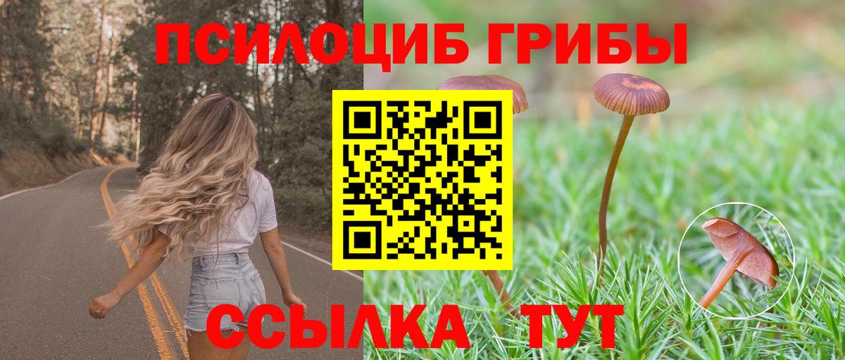 Галлюциногенные грибы Psilocybe Усолье-Сибирское